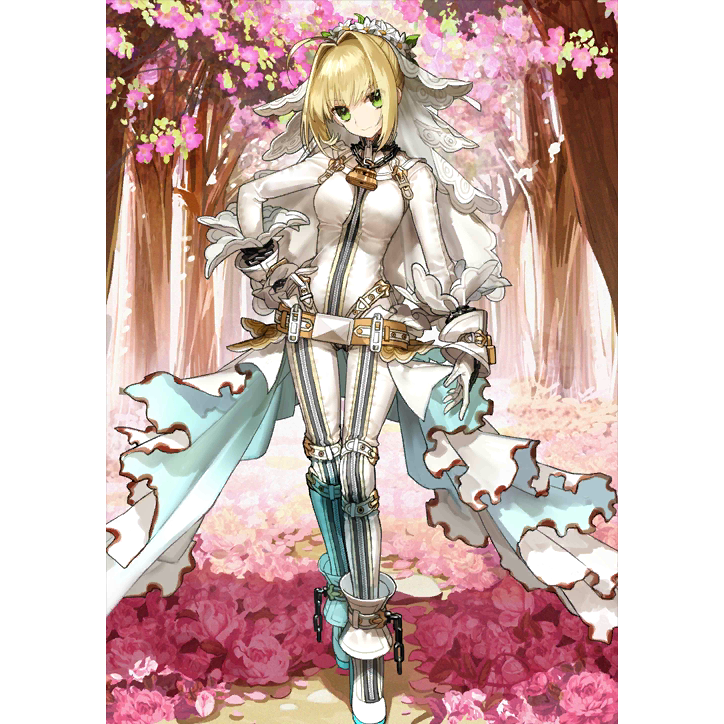 [NA] FGO Nero(bride) + 1500-2000SQ Fate Grand Order starter account (see options)-Mobile Games Starter