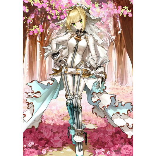 [NA] FGO Nero(bride) + 1500-2000SQ Fate Grand Order starter account (see options)-Mobile Games Starter